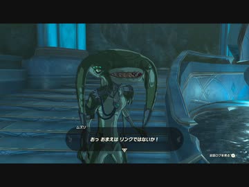 【実況】ハイラルソードTK　その23