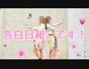 【ぶんあき】告白日和、です！short.ver【踊ってみた】