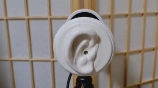 [ASMR]ゴム手袋して耳介を両耳心地よい音圧を感じるマッサージ/etwin massages/brain tingling[no talking]