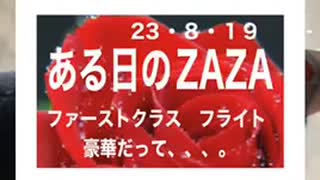 23・8・18　ある日のZAZA