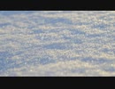 雪、ひとひら。／のる