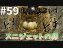 ポピーが探していたスニジェットついに見つかる【ホグワーツ・レガシー】#59