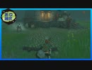 【ゼルダの伝説 ティアーズ オブ ザ キングダム】空と地底と大地と呪われし右腕。 #76【実況】