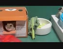 【！】見つかったハムスター