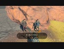 【Switch】リンクがゾナウとゼルダ探し旅【プレイ動画】part22
