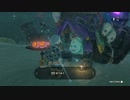 【Switch】リンクがゾナウとゼルダ探し旅【プレイ動画】part24