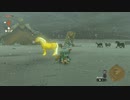 【Switch】リンクがゾナウとゼルダ探し旅【プレイ動画】part25