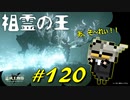 祖霊の森で祖霊や祖霊の王と戯れたり忘れていた小黄金樹の地下墓のボスと戯れたりします【初見】エルデンリング実況／盗賊王物語【オフライン】#120