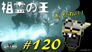 祖霊の森で祖霊や祖霊の王と戯れたり忘れていた小黄金樹の地下墓のボスと戯れたりします【初見】エルデンリング実況／盗賊王物語【オフライン】#120