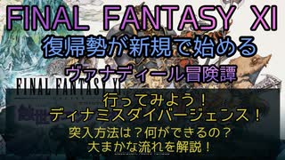 【FF11】行ってみよう！デュナミスダイバージェンス！突入方法は？何ができるの？大まかな流れを解説！