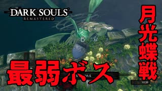 こんな虫がボスでいいのか？月光蝶戦【2023-07-08】【DARKSOUL】【ダークソウル】