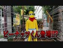 【奇跡】原宿歩いてたら、まさかの…‼ 【ピーナッツくん】(ぽんぽこ24 vol.7 CM応募)