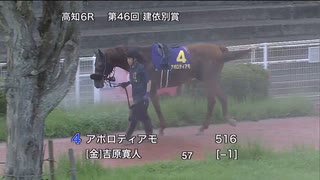 農林水産大臣賞典 第46回建依別賞 パドック～本馬場入場