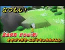 なつもん！　昆虫採取　灯台山（朝）　オオゴマダラ・ニシキキンカカメムシ　昆虫集めてステッカーを貰おう！　＃５９６　【なつもん！20世紀の夏休み】