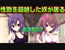 【ラズベリーキューブ(エロゲ)】#10　信じられるか？片方男なんだぜ？【セックスへの道】