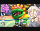 酔いどれドライバーセイカさん #385【マリオカート8DX】