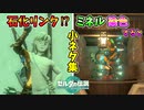 石化リンクとは！？ガノン無力化･マスターイマツ･シイダ無限ギレなど小ネタ集(ver1.1.0)【ティアキン TotK】裏技 バグ 検証 ゆっくり実況 glitch