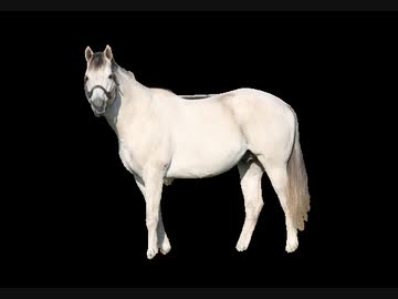 【WP9 2022】カズヤ牧場52 2001