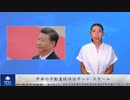 中共の不動産経済はポンジ･スキーム