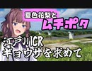 夏色花梨とムチポタ～江戸川CRから餃子を求めて編～