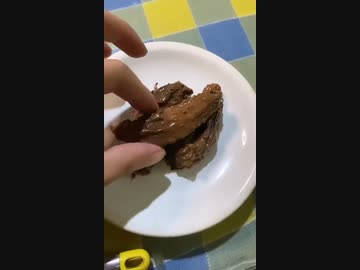 ホモと見る猫の糞を喰うドッキリ