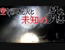 【ポケモンSV】空を彩る花火と未知の先【アグノム】