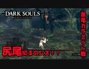 こいつの尻尾切れる人５％ぐらい、黒竜カラミット戦【2023-07-18】【DARKSOUL】【ダークソウル】