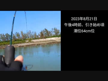 逃がした魚は大きかった…はず！