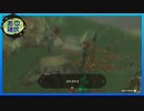 【ゼルダの伝説 ティアーズ オブ ザ キングダム】空と地底と大地と呪われし右腕。 #78【実況】
