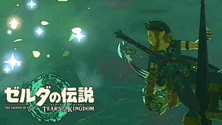 既知との遭遇【ゼルダの伝説 ティアーズ オブ ザ キングダム / ゲーム実況】part11の前編