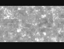 Noise_133