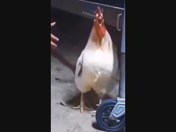 チキン