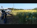 【２０２３　夏】MT09で　お散歩　二枚田幹線　後編