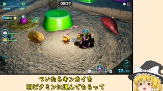 【ピクミン4】切磋琢磨のオアシス　2分4１秒残し