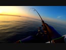 夏の夕涼みにジギングでスルメイカを釣る