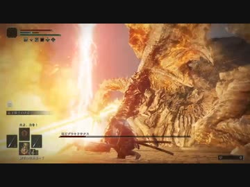 ELDEN RING_プラキドサクス