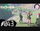 【ティアキン＃43】凡人が行く龍泪旅