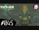 【ティアキン＃45】凡人が行く龍泪旅