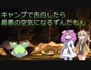 キャンプで告白するも最悪の空気になるずんだもん