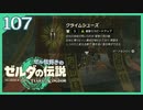 #107【ゼルダの伝説ティアーズオブザキングダム】ちょっと世界を翔けてくる【実況プレイ】