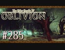 実況 ◇ The Elder Scrolls IV: オブリビオン ◇ 第285幕
