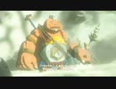 【ティアキン】最速最高画質 ゴロンの里編クリア動画 #ティアーズオブザキングダム#ゼルダの伝説