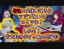 【初実況】あの伝説の男がファイアーエムブレムエンゲージをプレイする！#17【FEエンゲージ】