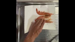 アルゼンチン赤海老　と　海老味噌汁