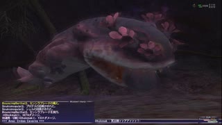 ＦＦ11　倉庫キャラのその後　ドクマク戦