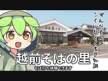 ずんだもん「そば打ち体験するのだ」