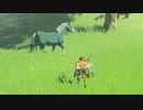 ゼルダの伝説　ブレス オブ ザ ワイルド　実況プレイPart13