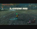 【ゼルダの伝説 ティアーズ オブ ザ キングダム】再びハイラルを救うまで【実況】 part91