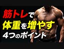 筋トレで体重を増やす時のポイント 4つ | パワーリフターが解説【ビーレジェンド プロテイン】