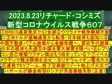 2023.8.23リチャード・コシミズ新型コロナウイルス戦争６０７